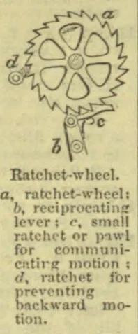A ratchet wheel with a reciprocating lever and two pawls is shown.