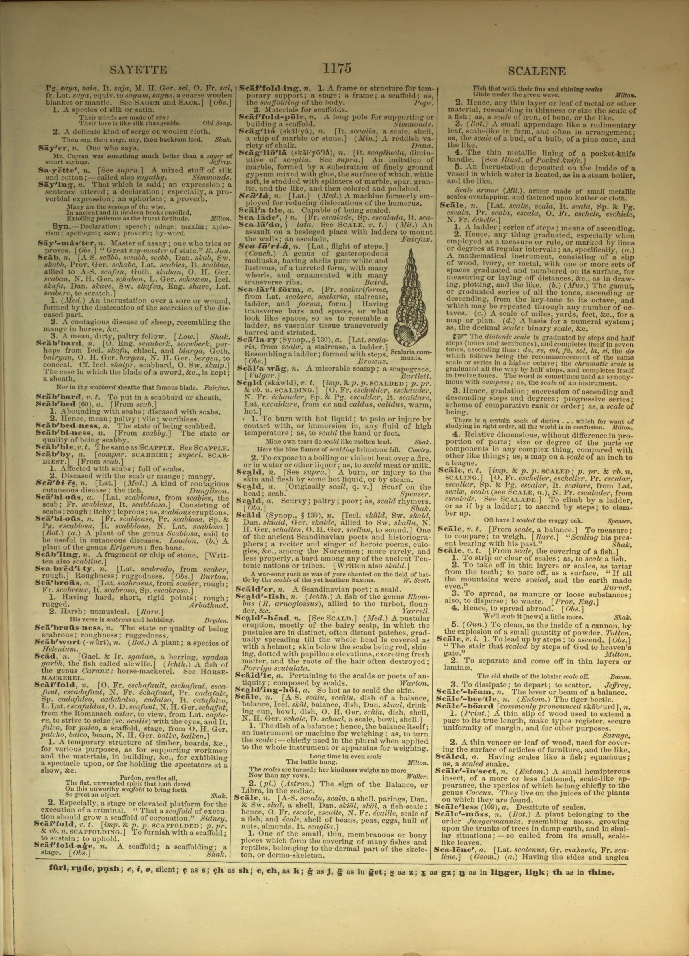 Scan of page 1175