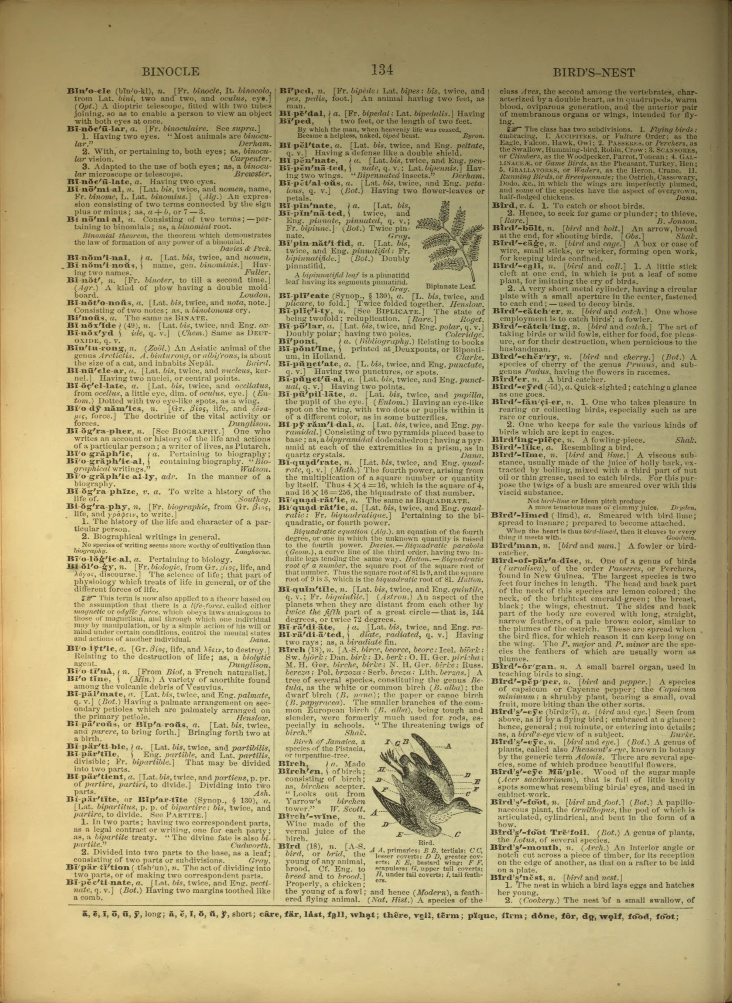 Scan of page 134