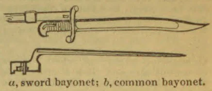 The illustration shows a sword bayonet above a common bayonet.
