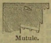 A shaded architectural mutule is shown projecting beneath a cornice, with small drops on its underside.
