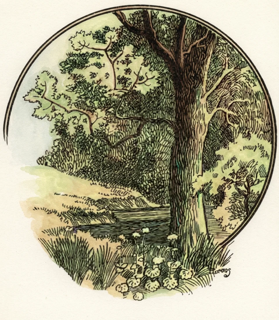 Grass and trees and flowers