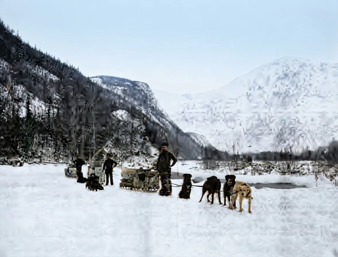 AN ALASKAN DOG TEAM