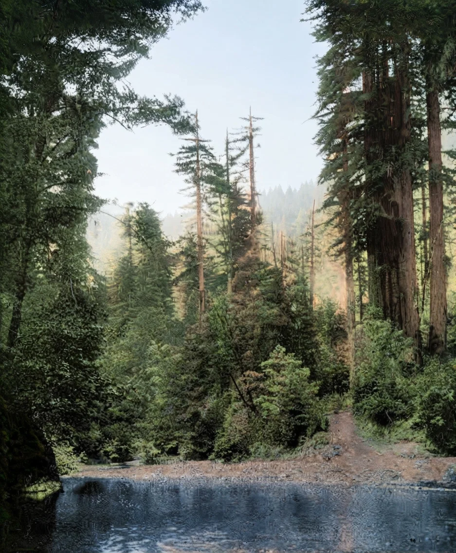 A TYPICAL SCENE OF NATURE'S LIBERTY.