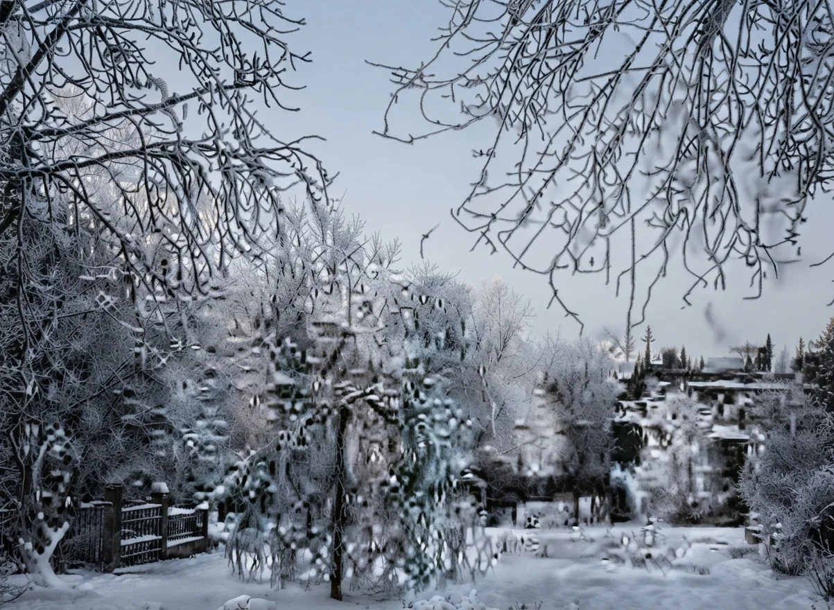 A Winter Scene