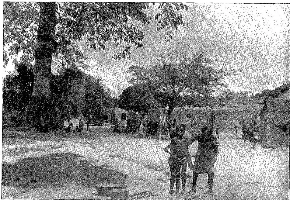 A WEST AFRICAN VILLAGE