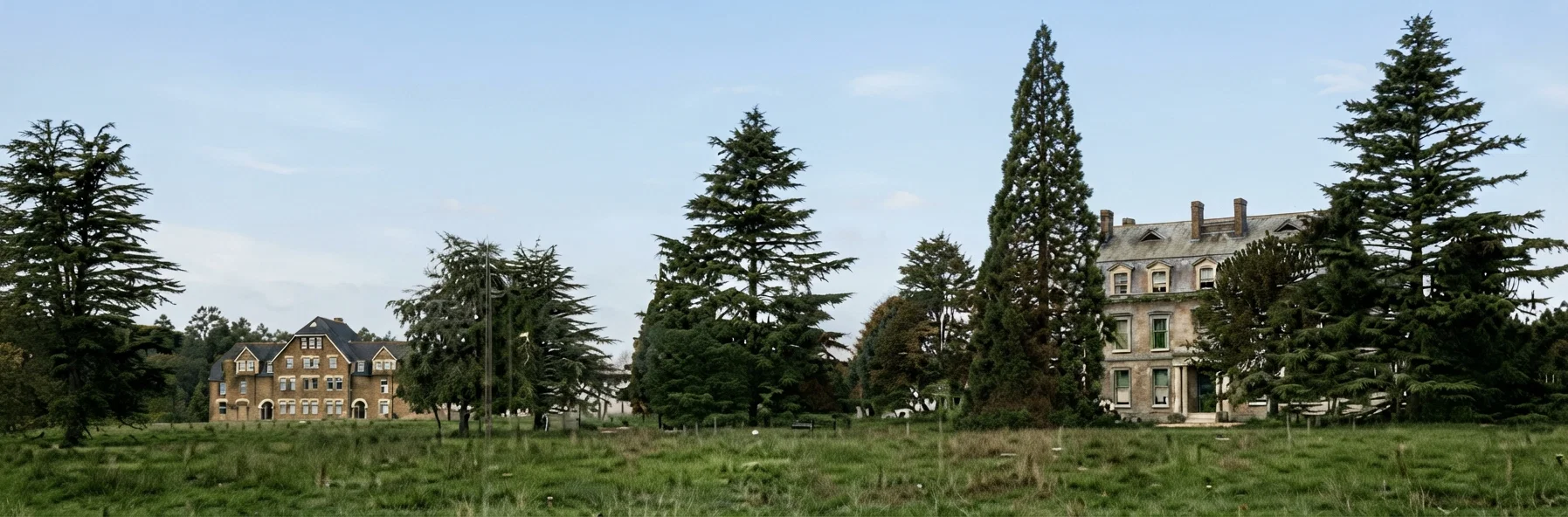 VIEW IN STANBOROUGH PARK, WITH SANITARIUM ON THE RIGHT AND COLLEGE BUILDINGS ON THE LEFT