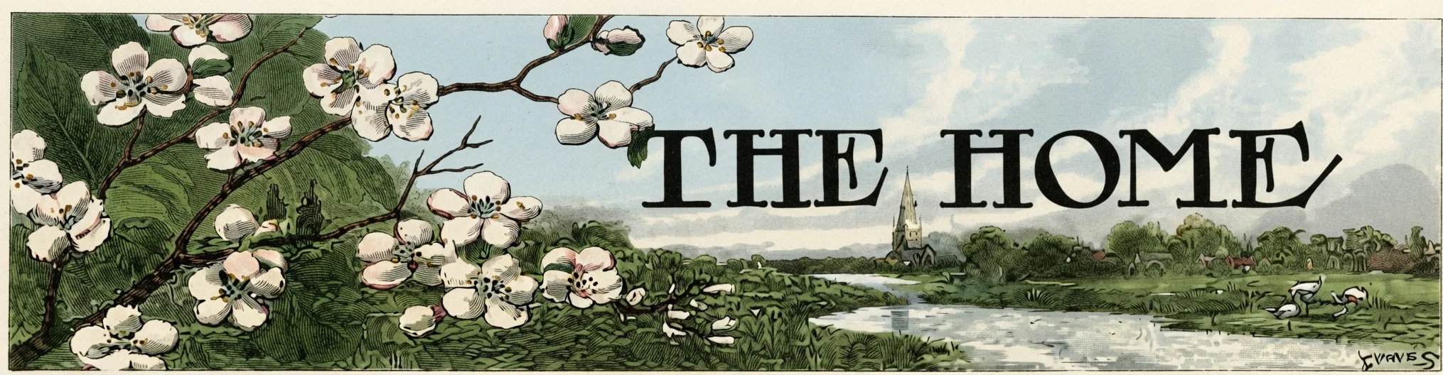 THE HOME