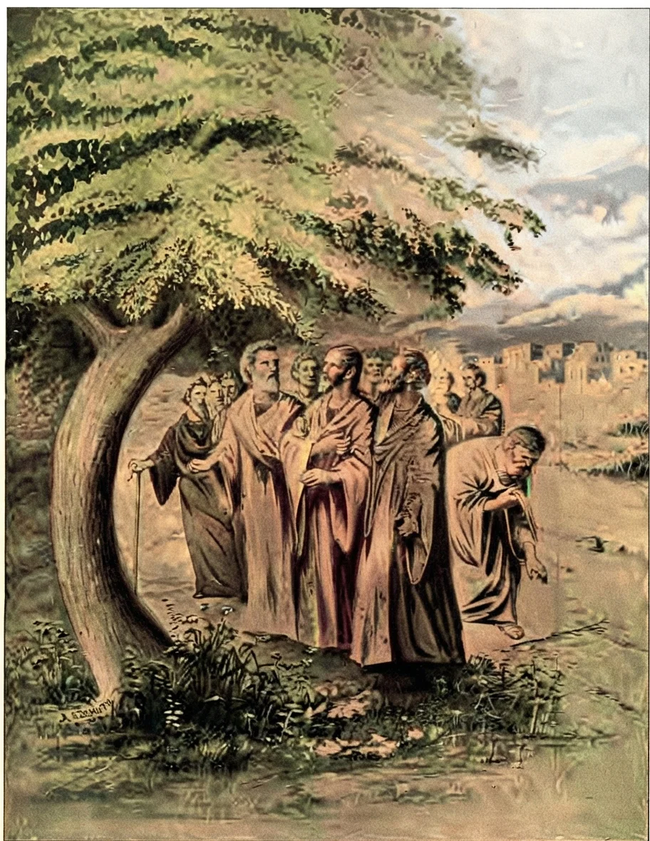 THE BARREN FIG TREE.