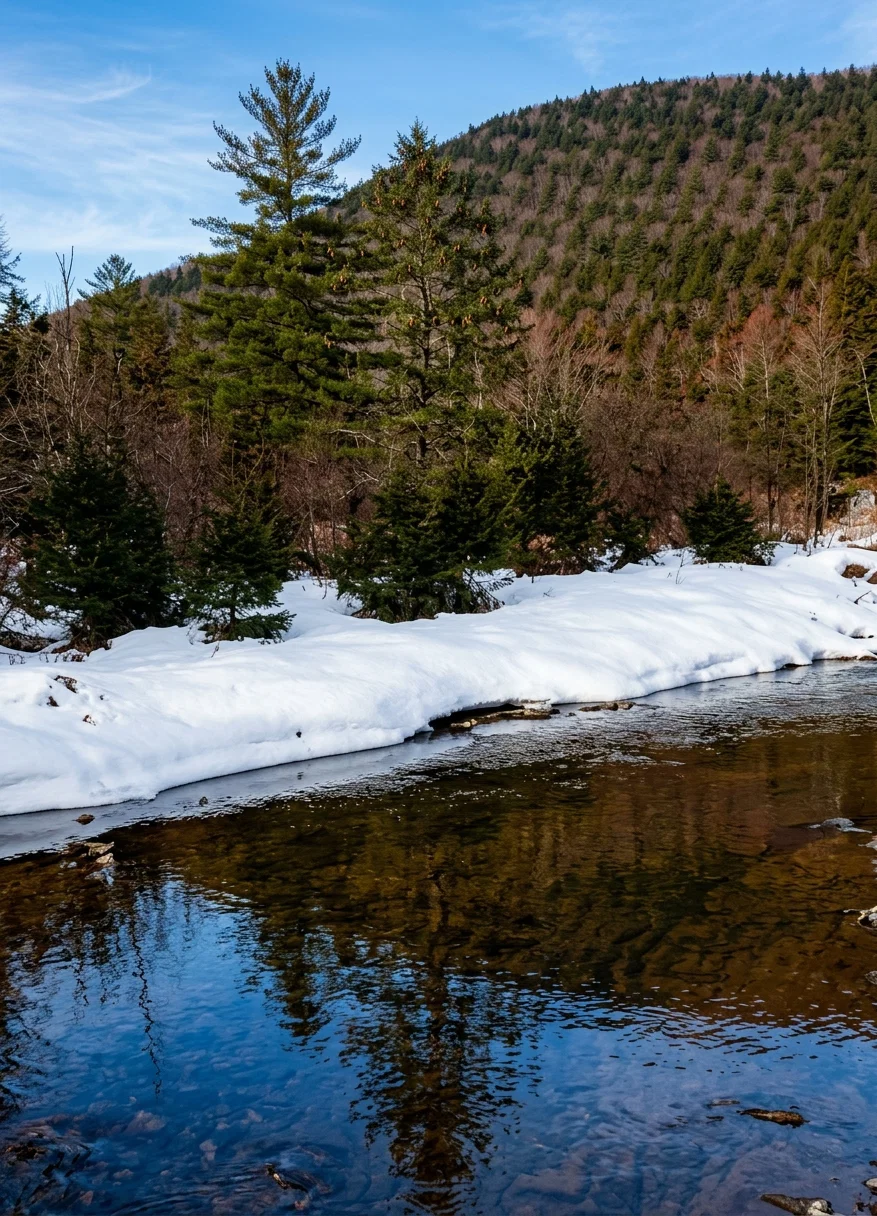 IN THE CATSKILLS, NEW YORK