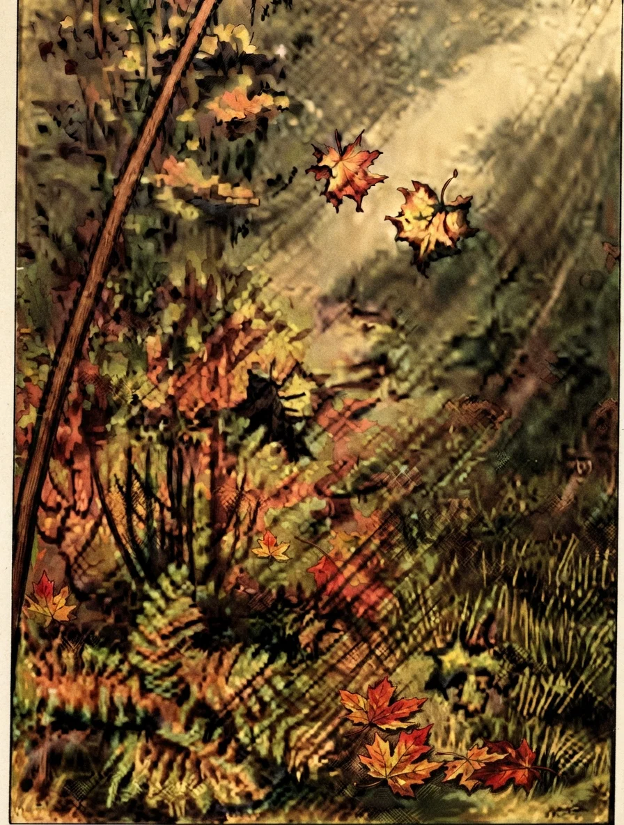 AUTUMN