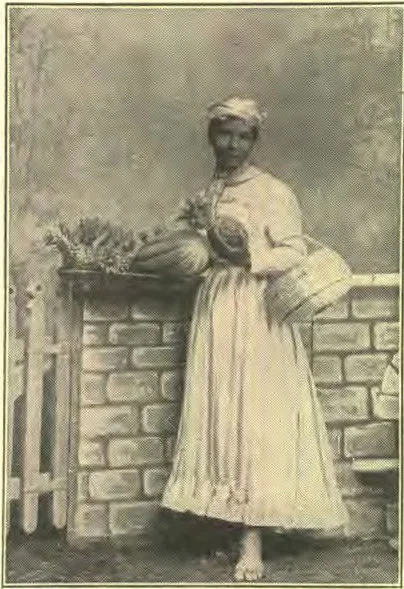 Fruit Vender, Barbados.
