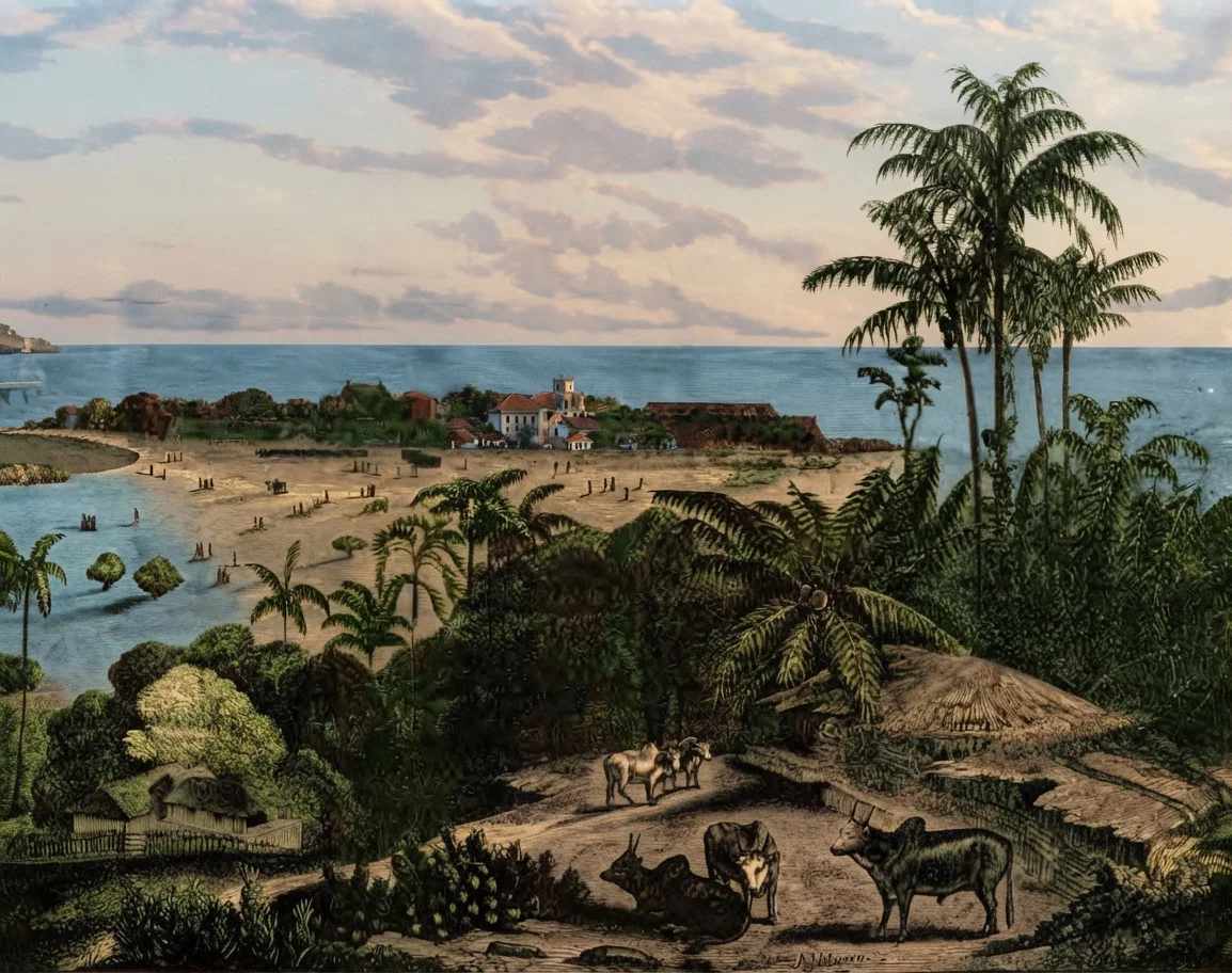 A Scene on the Island of Ceylon.