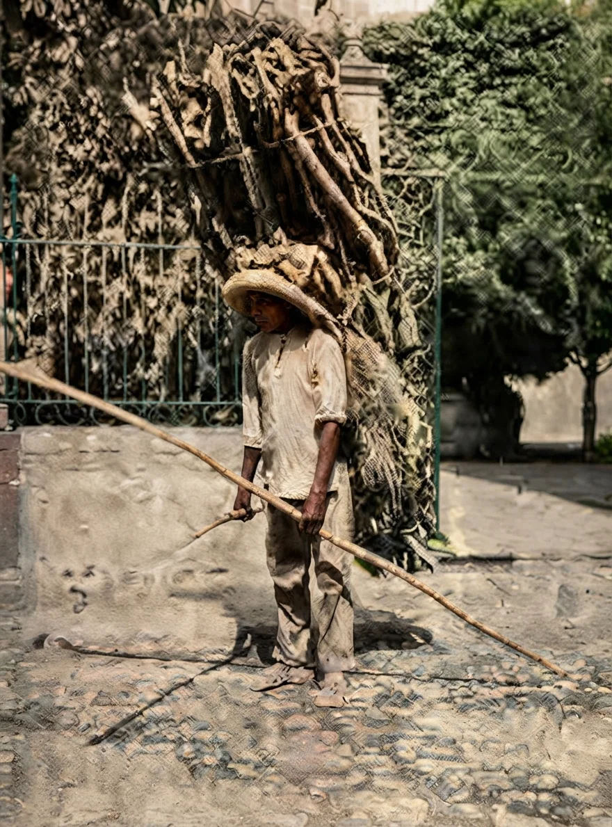 Carrying Wood to Market, Mexico.
