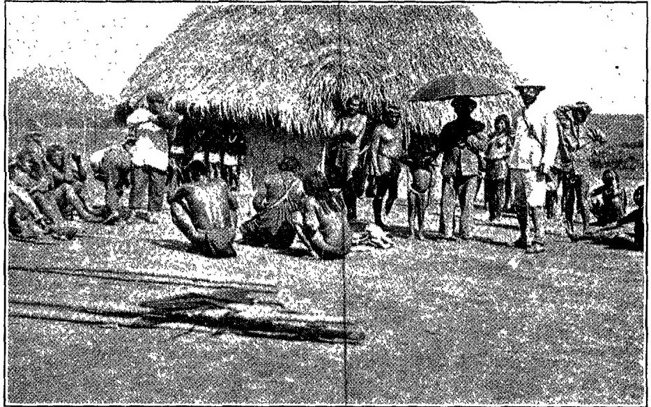 CHIEF JEREMIAH'S HUT WHERE ELDER O. E. DAVIS DIED