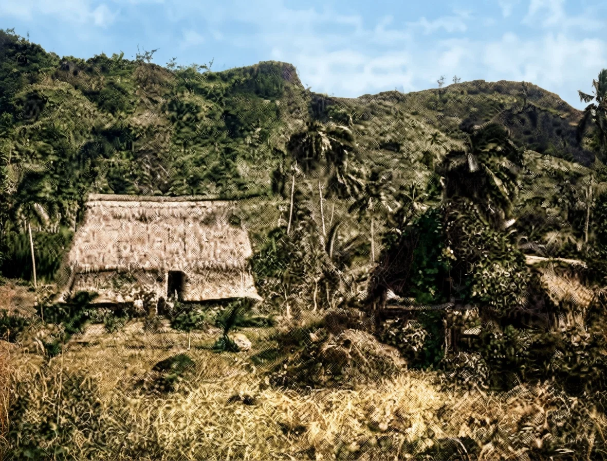 A Characteristic Fijian View.