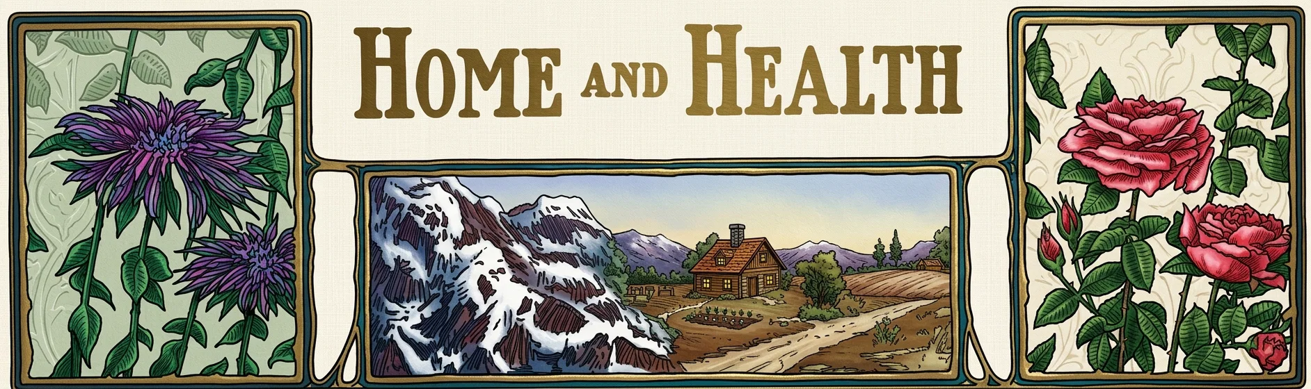 HOME AND HEALTH