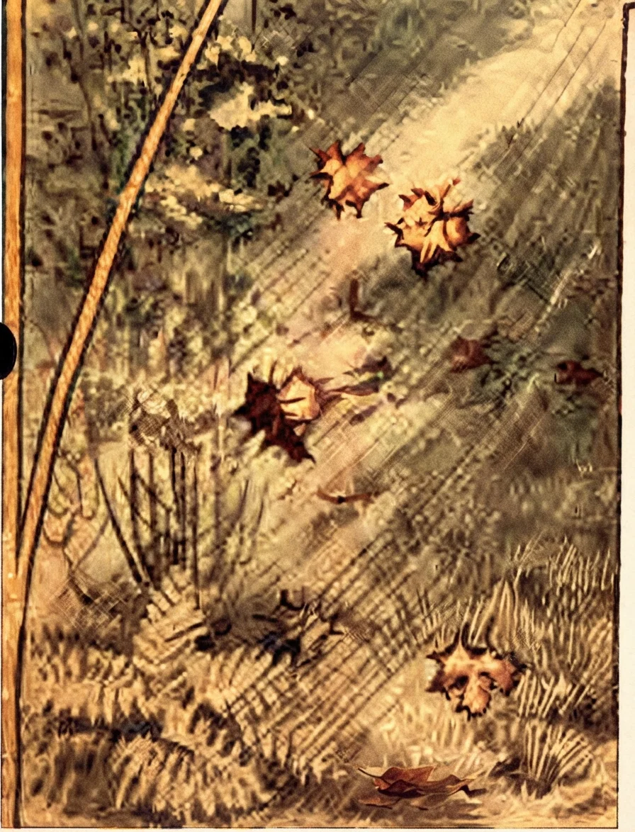 AUTUMN