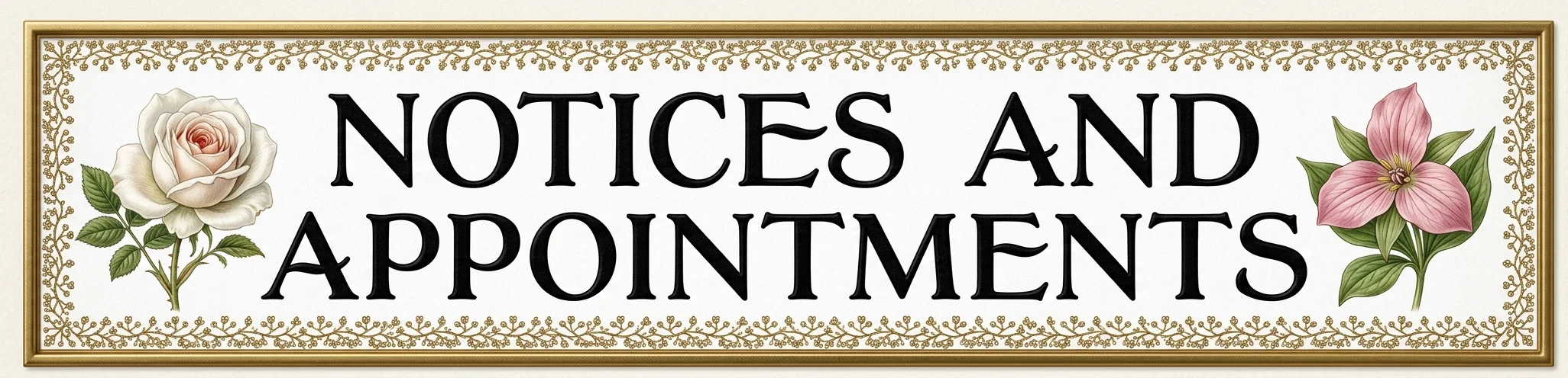 NOTICES AND APPOINTMENTS