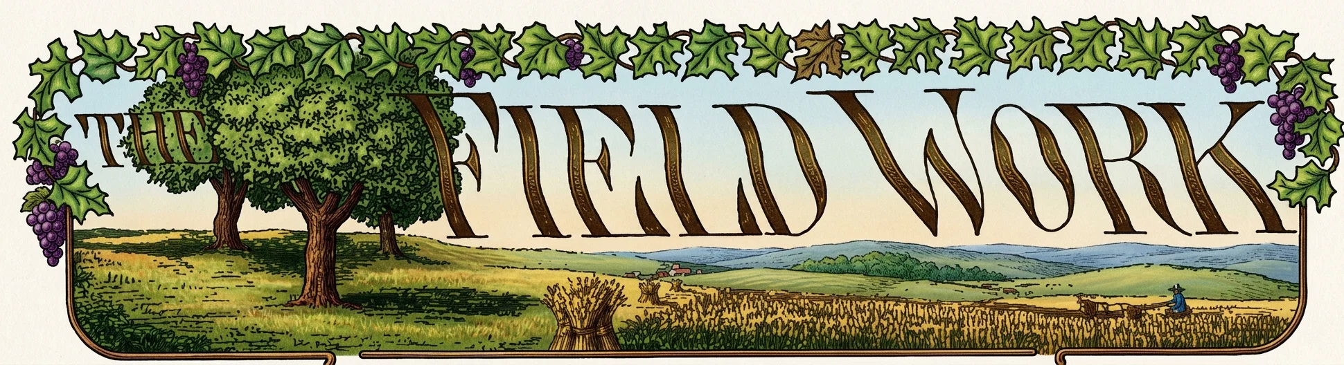 THE FIELD WORK