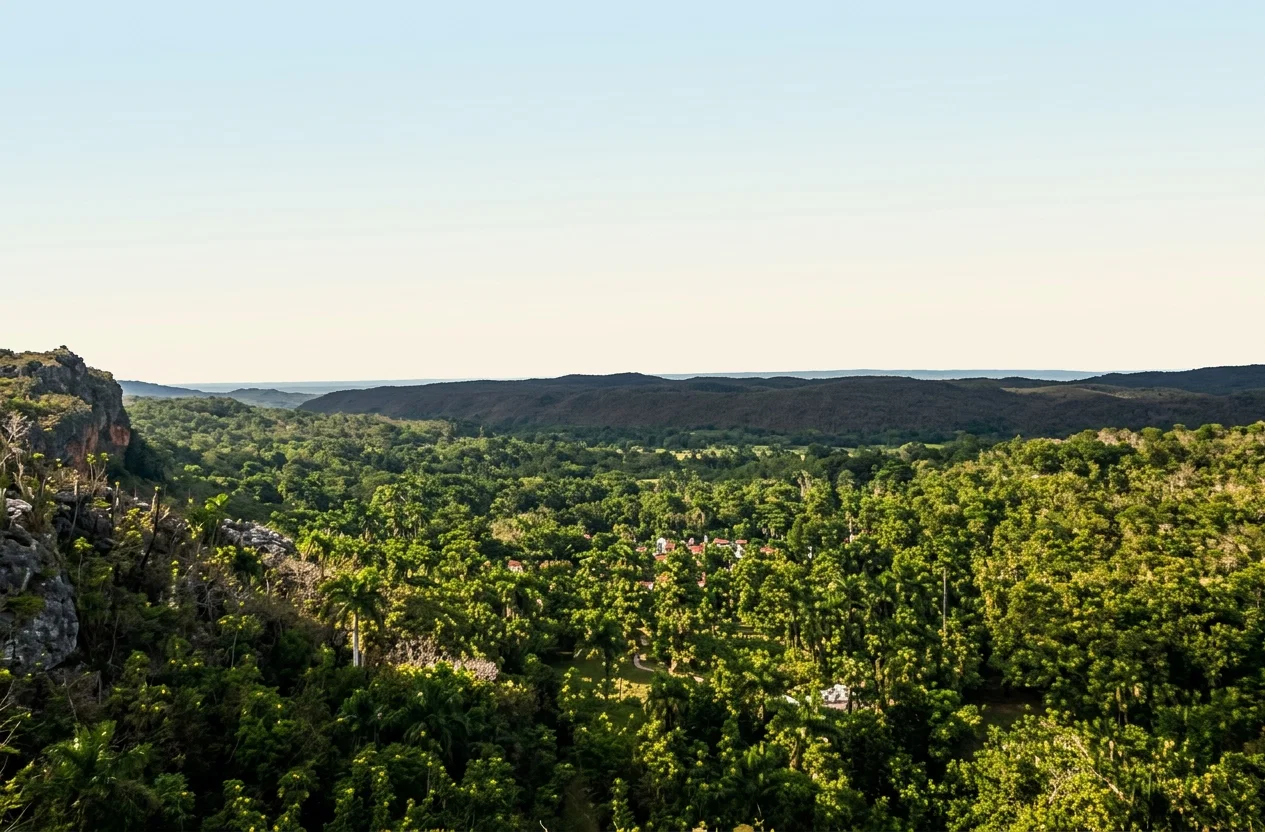 THE VALE OF THE YUMURI