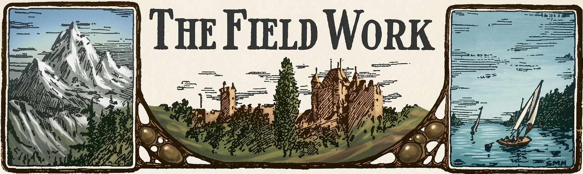 THE FIELD WORK