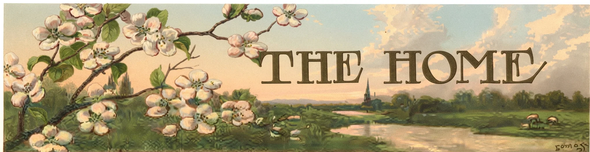 THE HOME