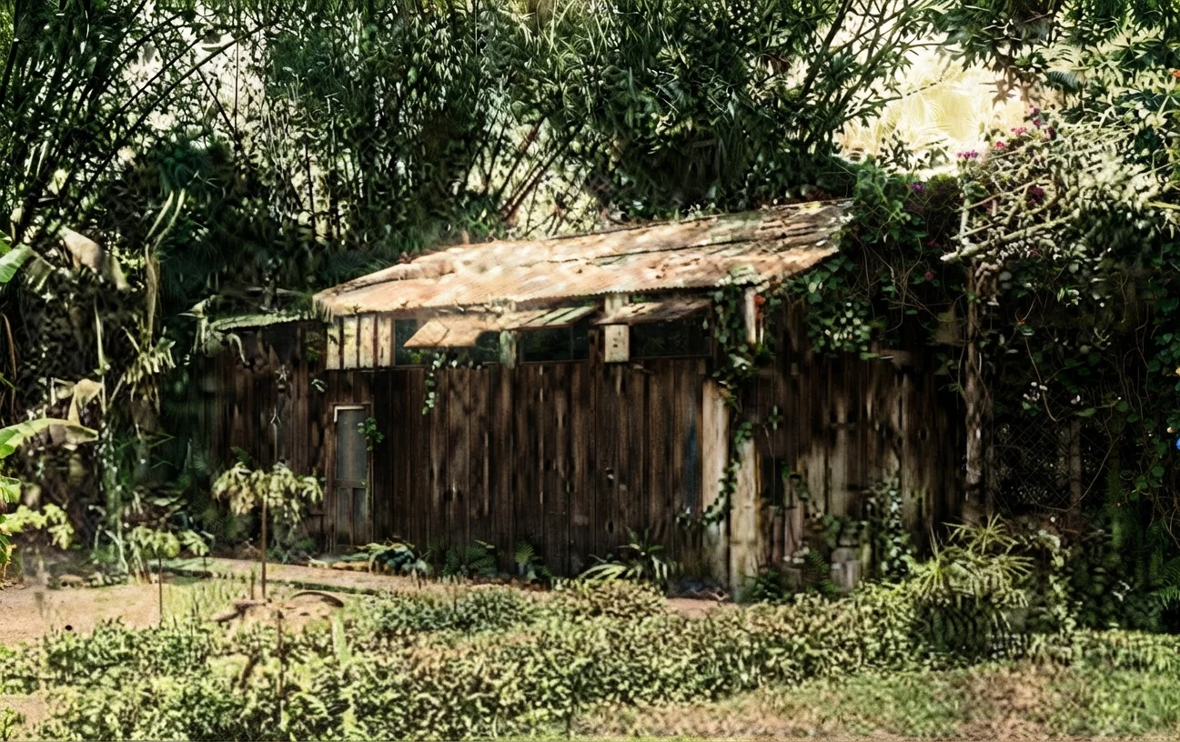 Our first mission printing house in the Philippines. It was in this little shed of a building that the immense work mentioned in Elder Daniells's article was accomplished.