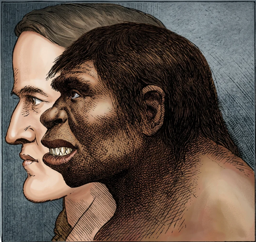 This illustration gives the artist's idea of a creature that he thinks existed 400,000 years ago, whose bones were recently discovered in a gravel pit in England. He also suggests the well-developed human head that has evolved during these long millenniums from that original character.