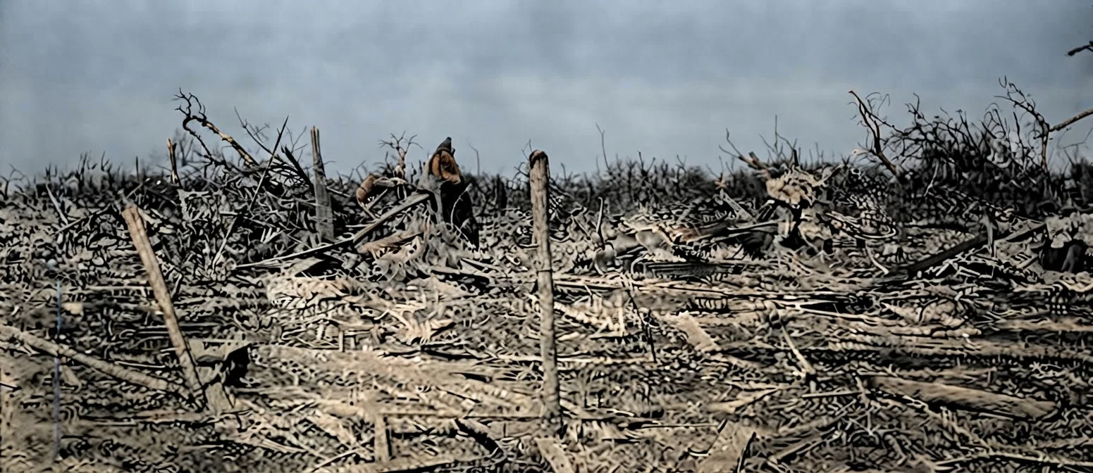 What A Cyclone Can Do.