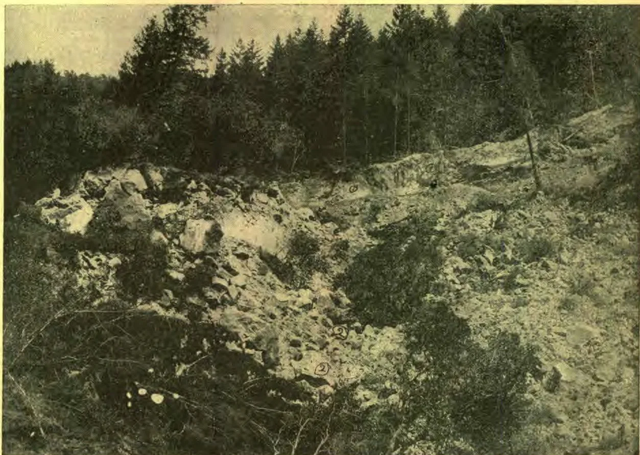 THE ERUPTION IN ALEXANDER VALLEY.