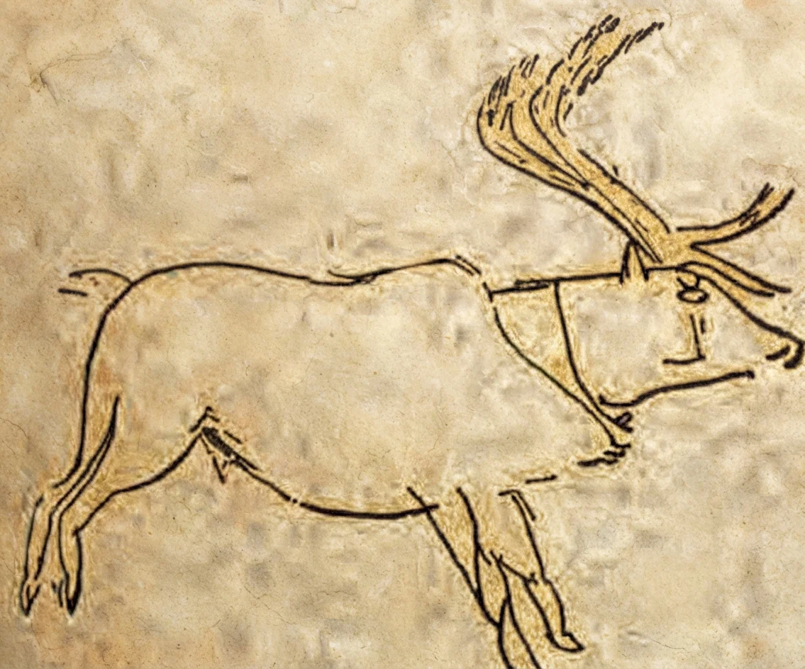 A Reindeer. Copyrighted. Courtesy Popular Science News.