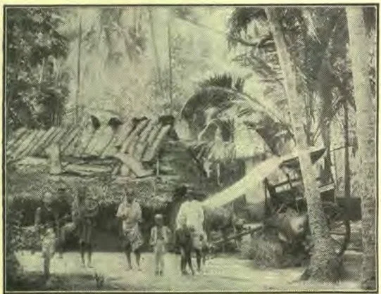 An Indian Homestead, India