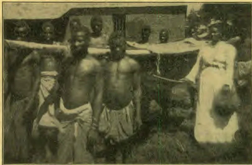 Miss Mabel Branch with a Machila Team.