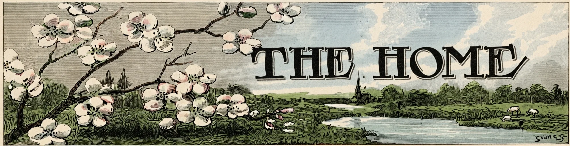 THE HOME