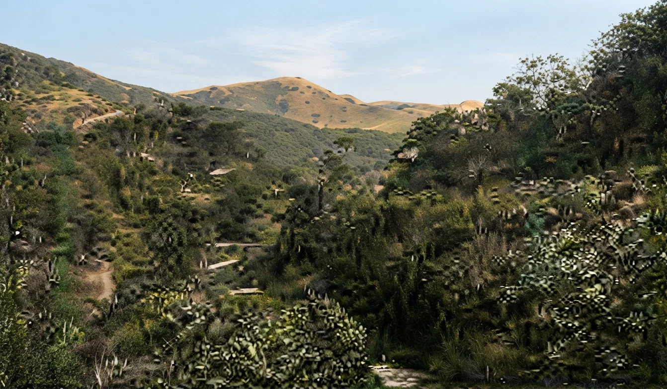 Strawberry Canyon and Grizzly Peak, Near Oakland, Cal.