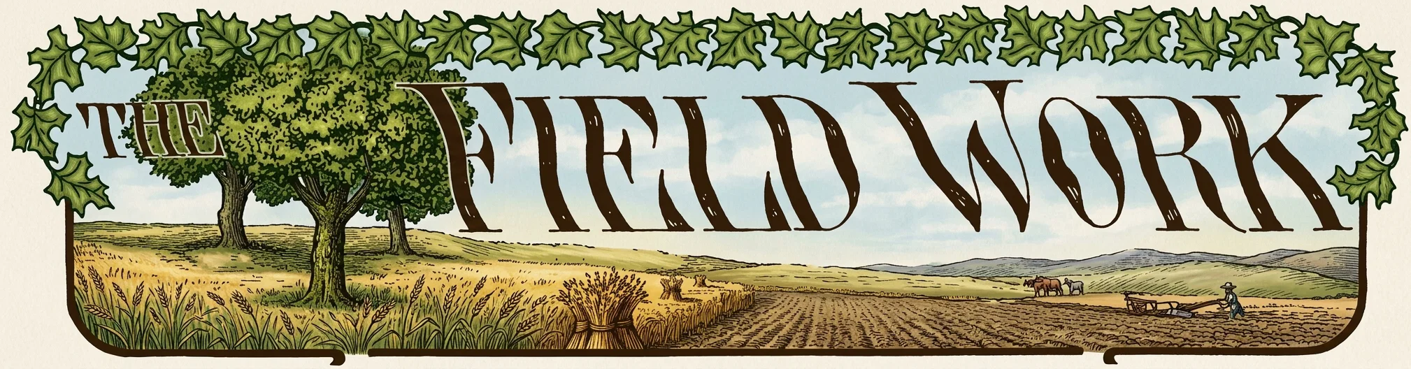 THE FIELD WORK
