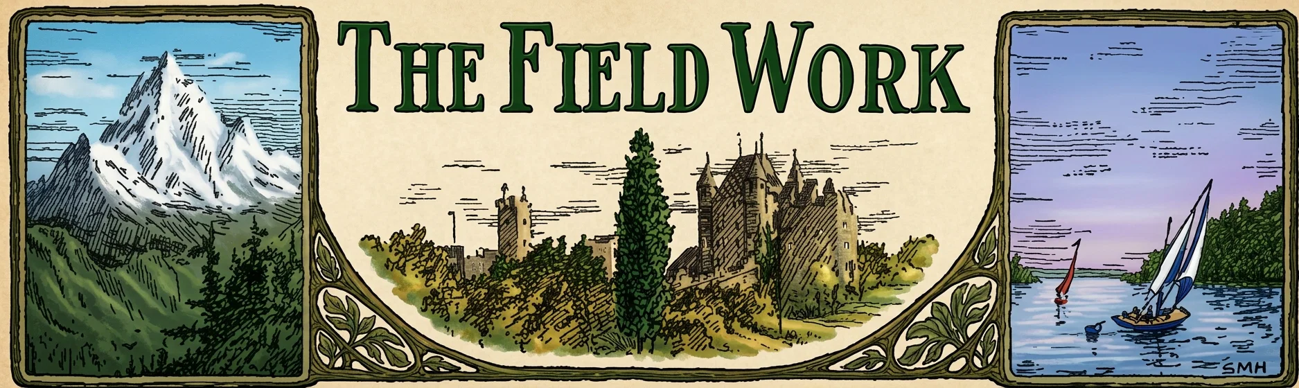 THE FIELD WORK