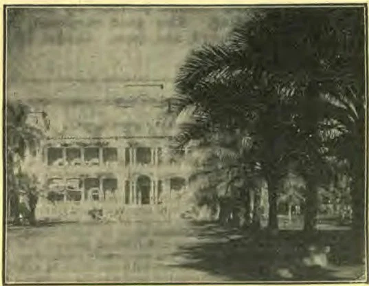 The capital, formerly the Royal Palace, at Honolulu. Note the brilliant sunlight in contrast with the deep green of the foliage.