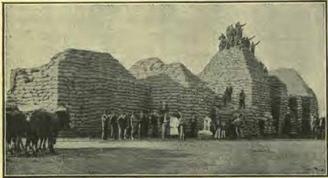 Sacked Grain, Argentina.