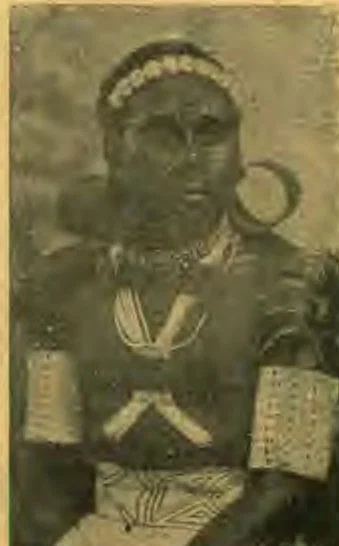 Solomon Island Chief.