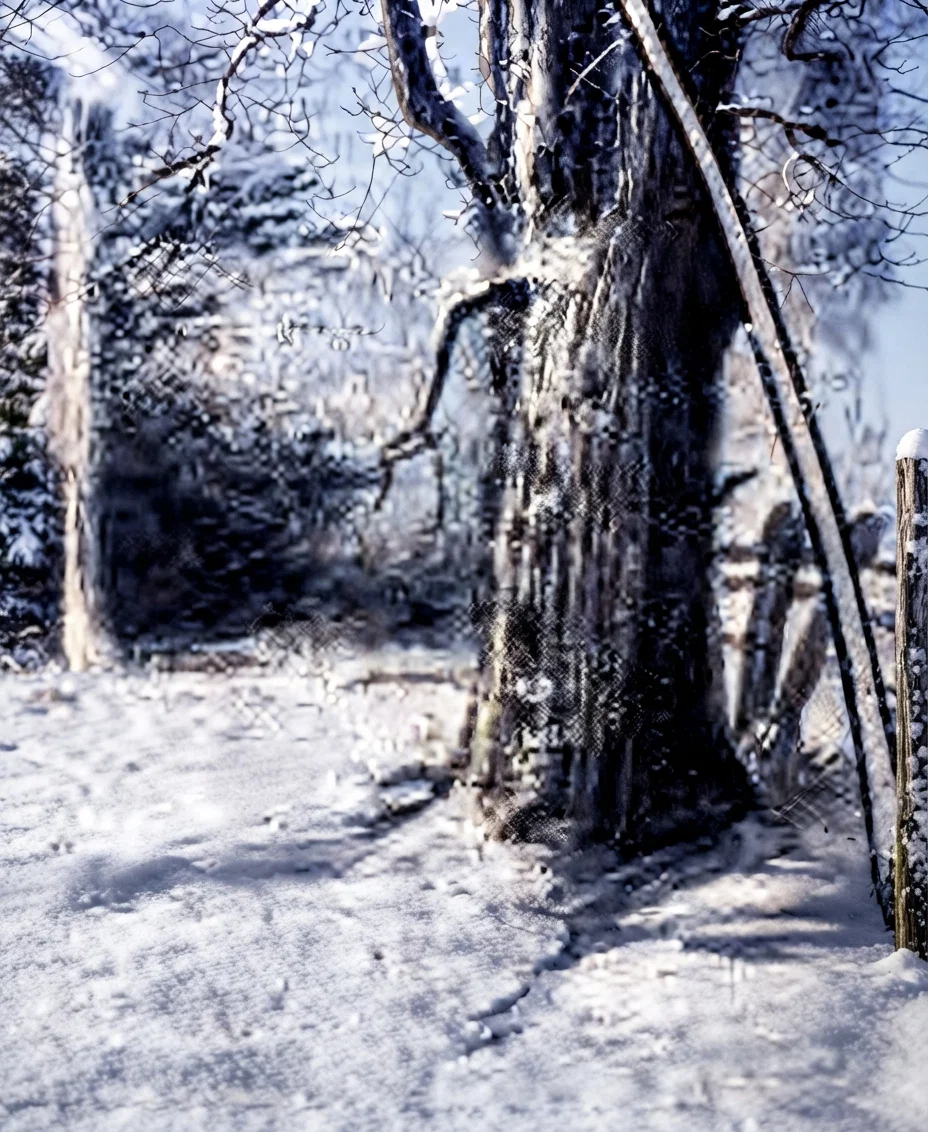 WINTER
