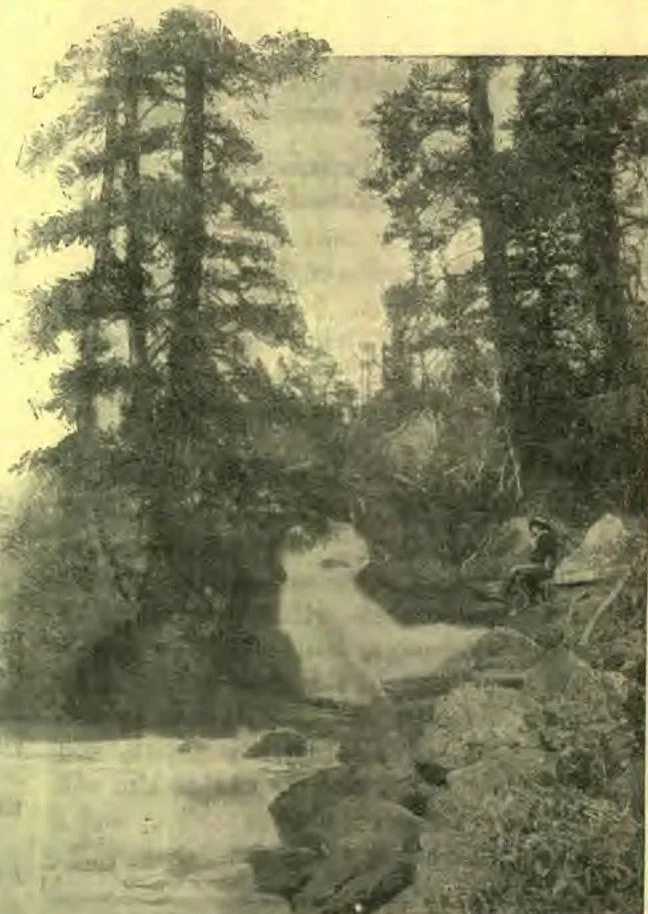“That which to the earthly mind was a desolate wilderness, to the spiritual mind becomes a land of living streams.”