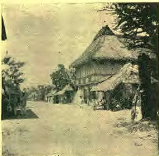 Native Houses in Manila, Mode of Bamboo, Tlatchod Roof. (Photo by Dr. Wood.)