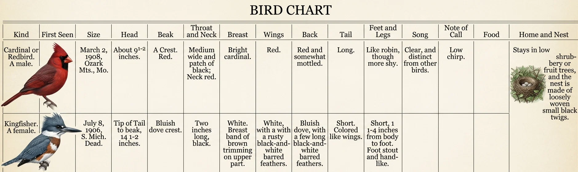 BIRD CHART