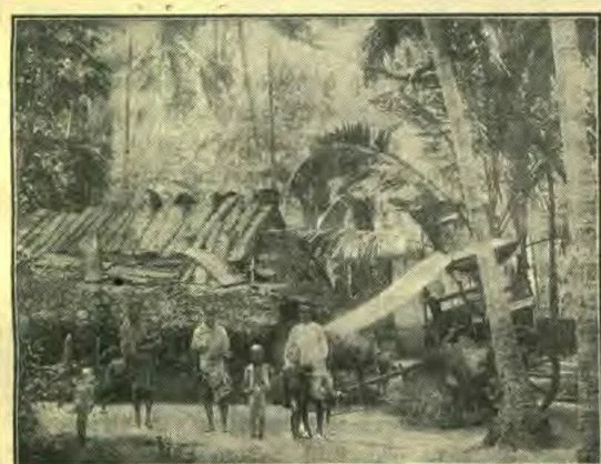 An Indian Homestead, India