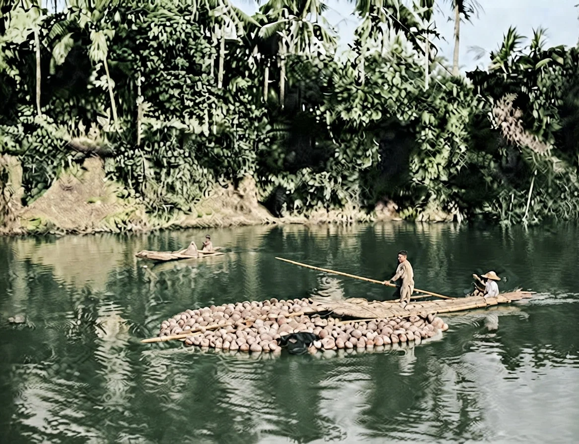 COCONUT RAFT.