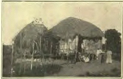 Native Houses, Porto Rico.