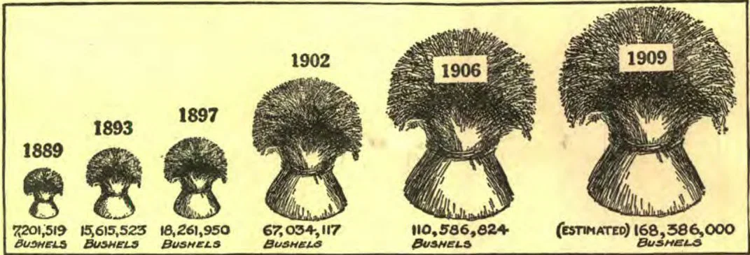 THE REMARKABLE INCREASE IN THE WHEAT YIELD OF CANADA SINCE 1889