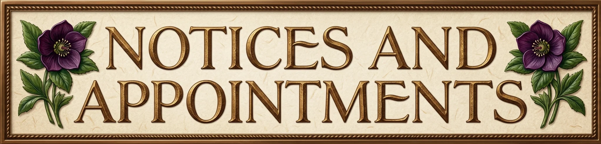 NOTICES AND APPOINTMENTS